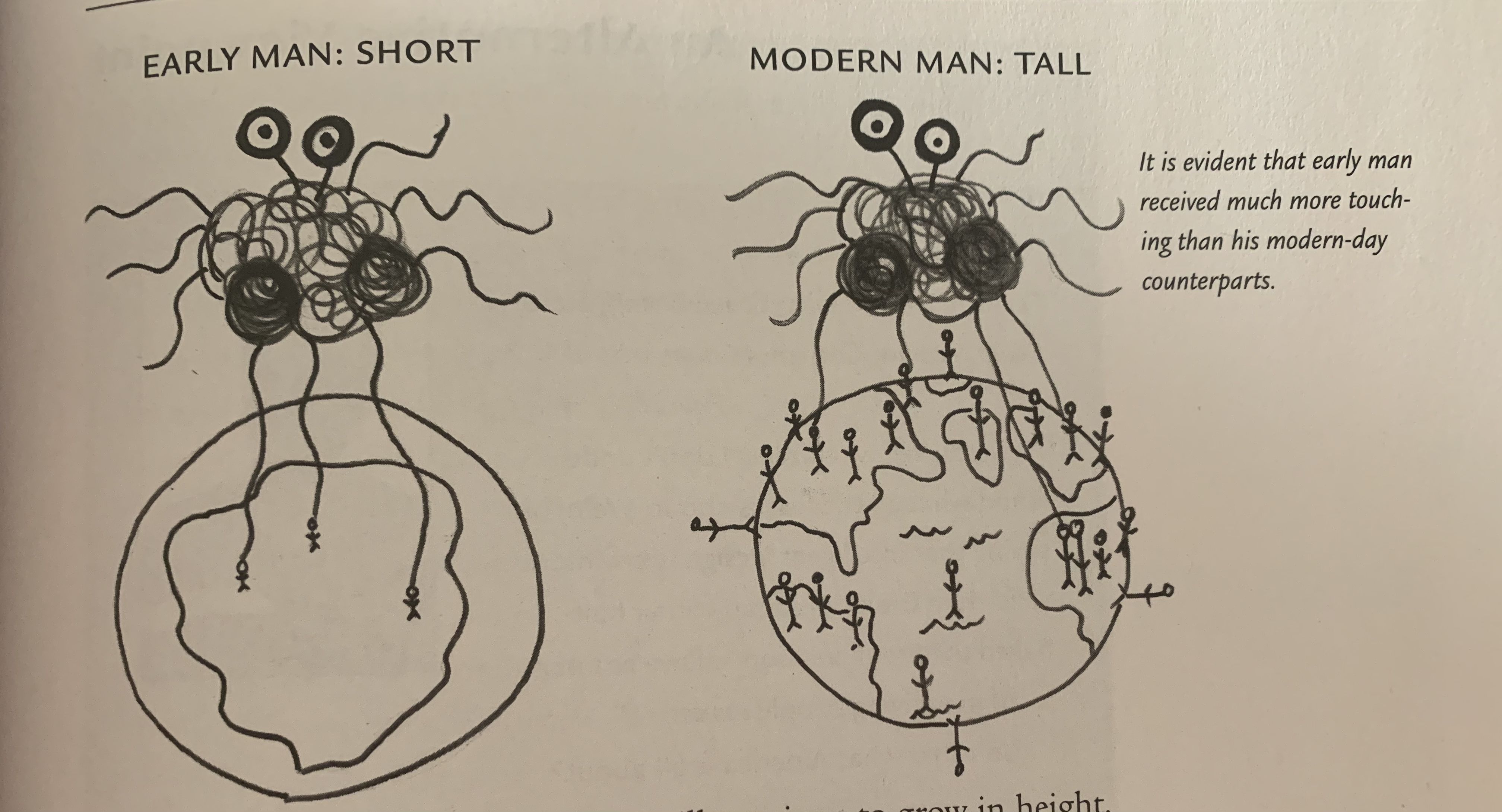 FSM Theory of Gravity